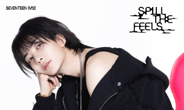 Seventeen reveals official individual photos for 'Spill The Feels' comeback!